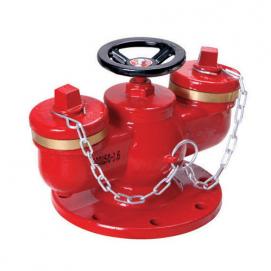 多用式水泵接合器